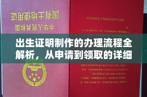 海晏出生证明制作的办理流程全解析，从申请到领取的详细指南